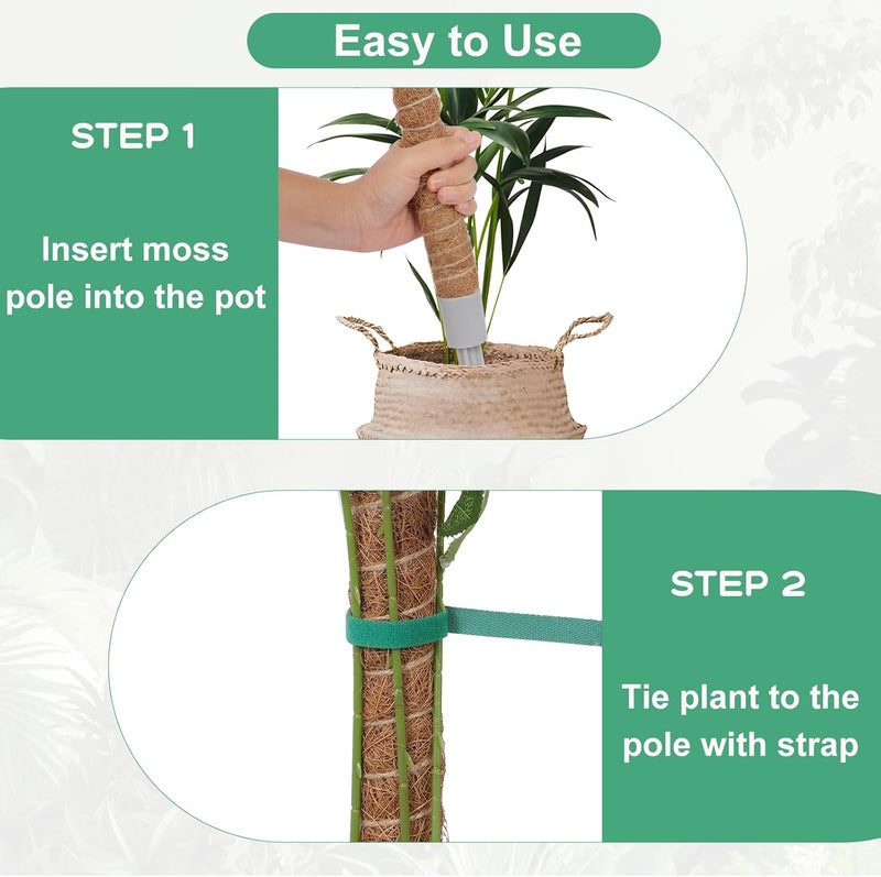 LIFENEST 2 Pack Moss Pole, 40 Inch Monstera Plant Support, Moss Poles for Climbing Plants Indoor DIY, Coco Coir Plant Pole Moss Plant Stick Support Stake Kit for Potted Plants, Pothos, Philodendron - Image 4